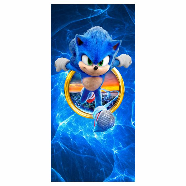 Painel 2x1m Sonic 